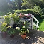 Villa Beautiful And Charming House In *